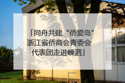 同舟共建“侨爱岛” 浙江省侨商会青委会代表团走进嵊泗